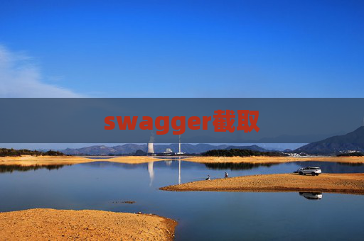 swagger截取